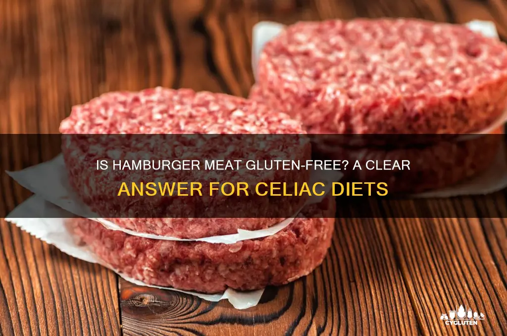 is hamburger meat gluten free