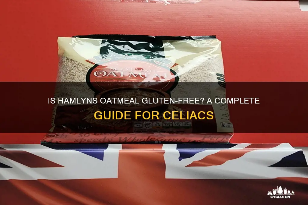 is hamlyns oatmeal gluten free