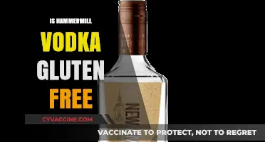 Is Hammermill Vodka Gluten-Free? A Detailed Guide for Vodka Lovers