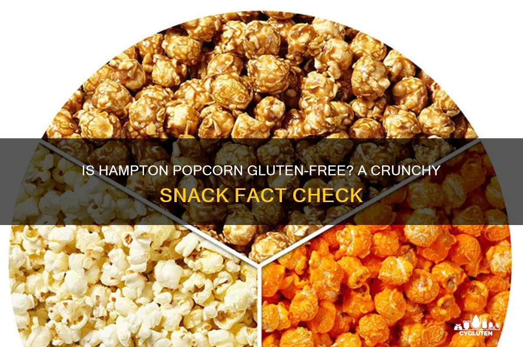 is hampton popcorn gluten free