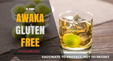 Is Hana Awaka Gluten-Free? A Comprehensive Guide to Ingredients