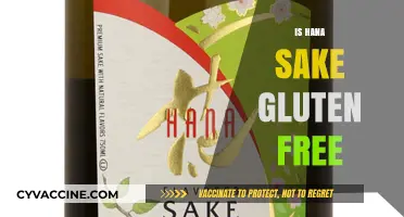 Is Hana Sake Gluten-Free? A Complete Guide for Sake Lovers