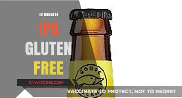 Is Hanalei IPA Gluten-Free? A Craft Beer Lover's Guide