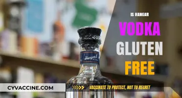 Is Hangar Vodka Gluten-Free? A Complete Guide for Celiac Drinkers