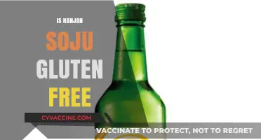 Is Hanjan Soju Gluten-Free? A Complete Guide for Drinkers