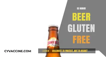 Is Hanoi Beer Gluten-Free? A Guide for Celiac Travelers