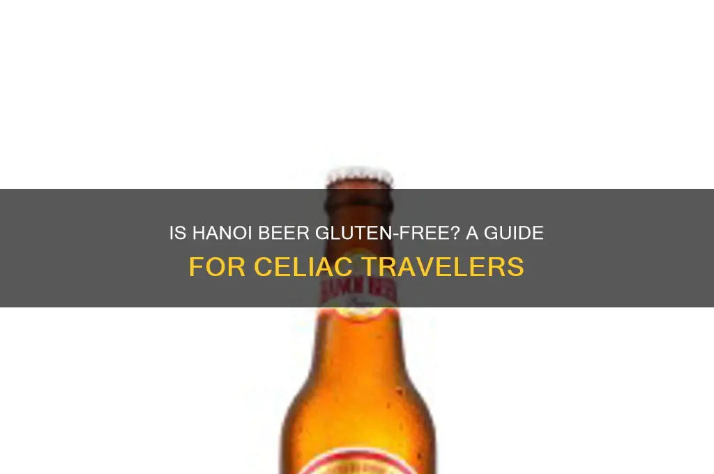 is hanoi beer gluten free