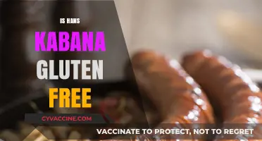 Is Hans Kabana Gluten-Free? A Comprehensive Guide to Ingredients