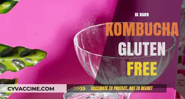 Is Hard Kombucha Gluten-Free? A Complete Guide to Your Questions
