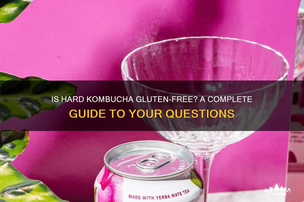 is hard kombucha gluten free