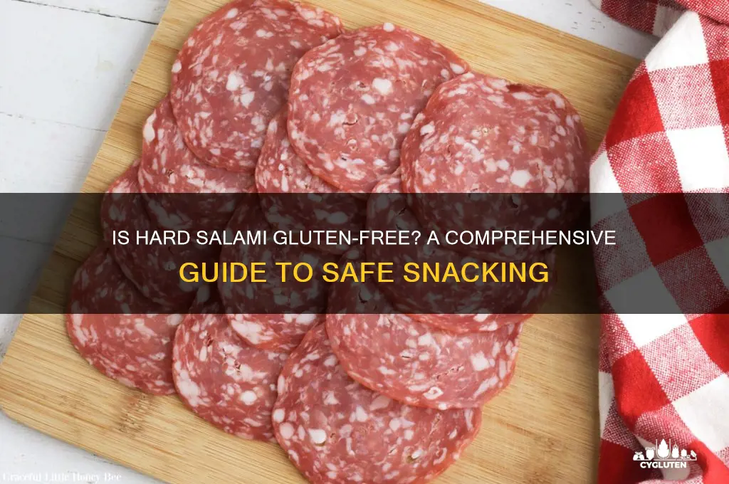 is hard salami gluten free