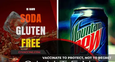 Is Hard Soda Gluten-Free? Exploring Ingredients and Safe Options