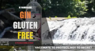 Is Hardshore Gin Gluten-Free? A Comprehensive Guide for Gin Lovers