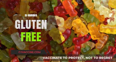 Are Haribo Gummies Gluten-Free? A Sweet Treat Analysis