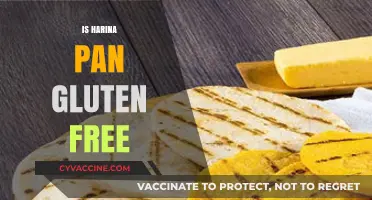 Is Harina PAN Gluten-Free? Unraveling the Truth for Celiac Diets