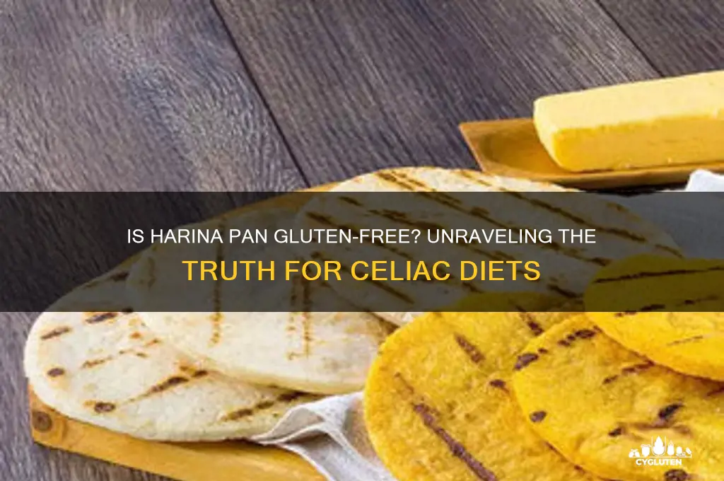 is harina pan gluten free