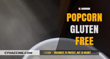 Is Harkins Popcorn Gluten-Free? A Movie Snack Guide
