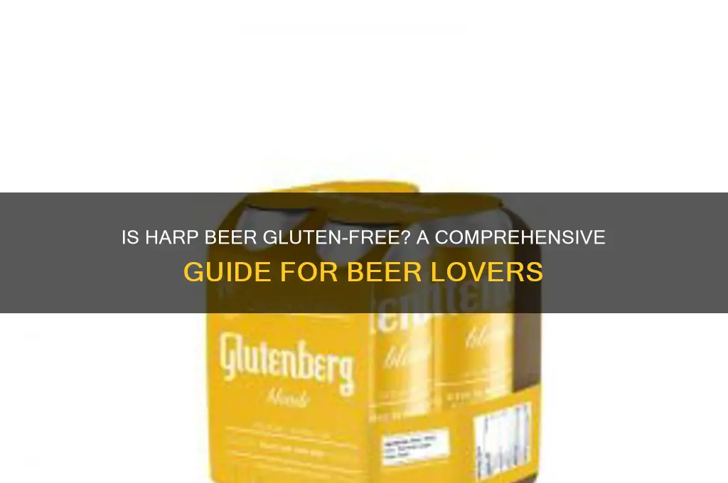 is harp beer gluten free