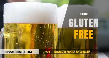 Is Harp Gluten-Free? Exploring the Beer's Ingredients and Safety
