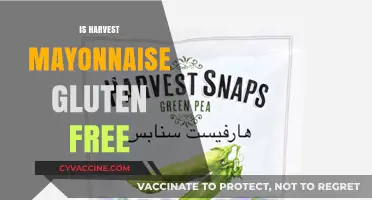 Is Harvest Mayonnaise Gluten-Free? A Complete Guide for Dietary Needs