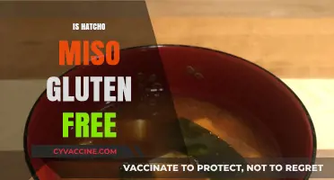 Is Hatcho Miso Gluten Free? A Comprehensive Guide for Dieters