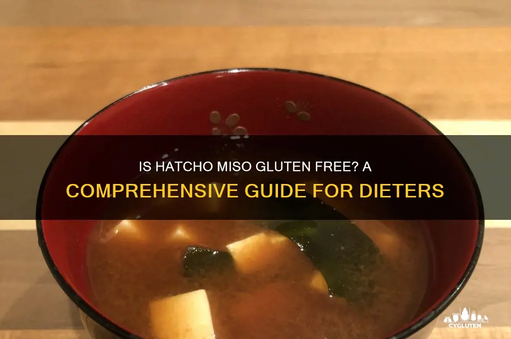 is hatcho miso gluten free