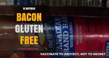 Is Hatfield Bacon Gluten-Free? A Comprehensive Guide for Dietary Needs