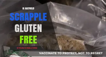 Is Hatfield Scrapple Gluten-Free? A Complete Guide for Dietary Needs