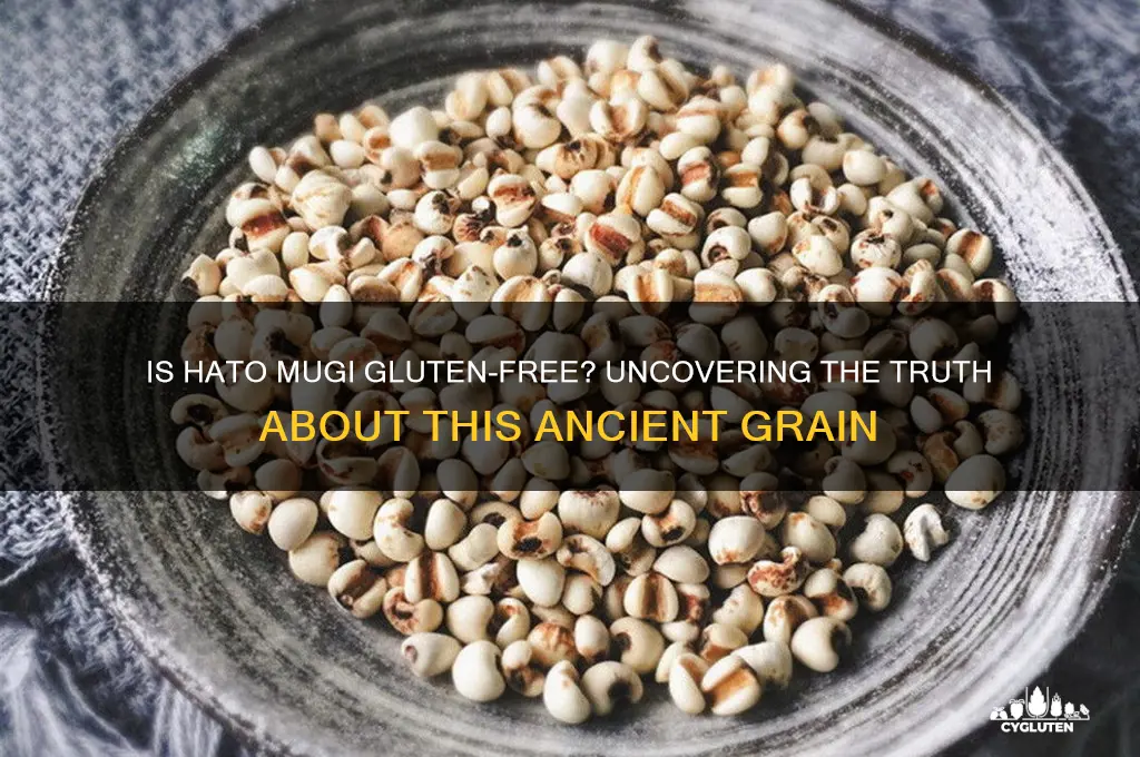 is hato mugi gluten free