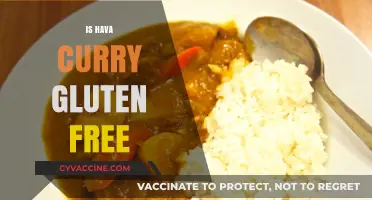 Is Hava Curry Gluten-Free? A Comprehensive Guide for Foodies