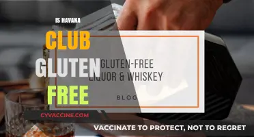 Is Havana Club Rum Gluten-Free? A Complete Guide for Drinkers