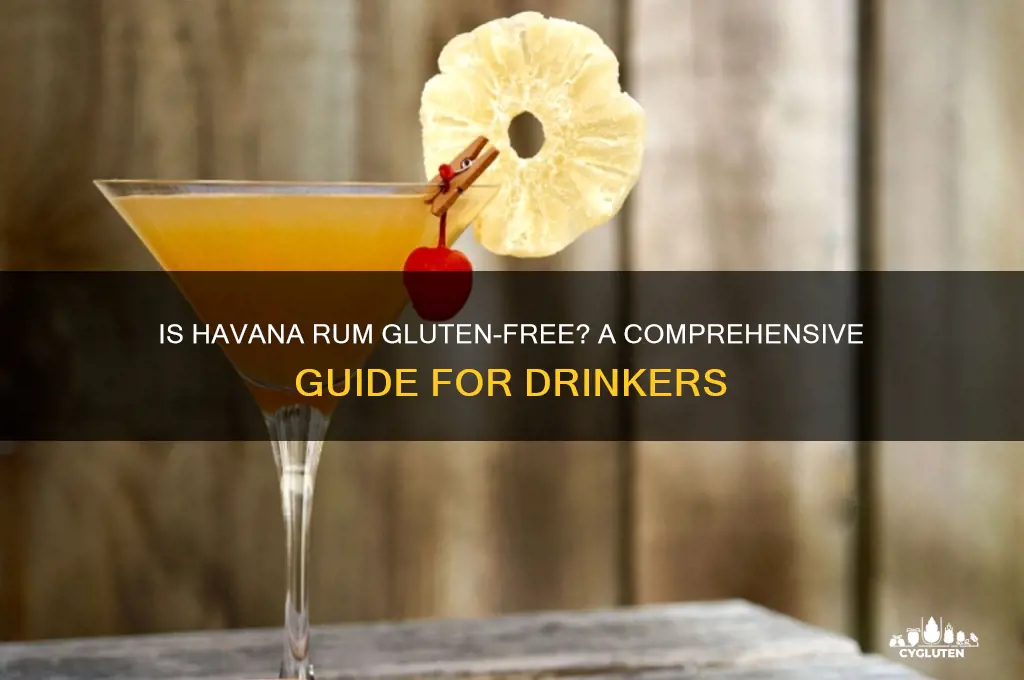is havana rum gluten free