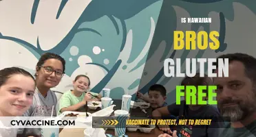 Is Hawaiian Bros Gluten-Free? A Complete Guide for Celiac Diners