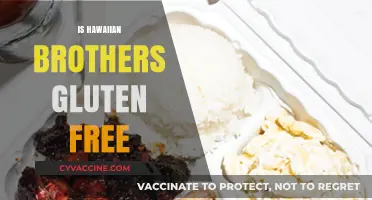 Is Hawaiian Bros Gluten-Free? A Comprehensive Guide to Their Menu