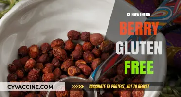 Is Hawthorn Berry Gluten-Free? A Comprehensive Guide for Dietary Needs