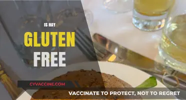 Is Hay Gluten Free? Exploring the Facts for a Healthy Diet