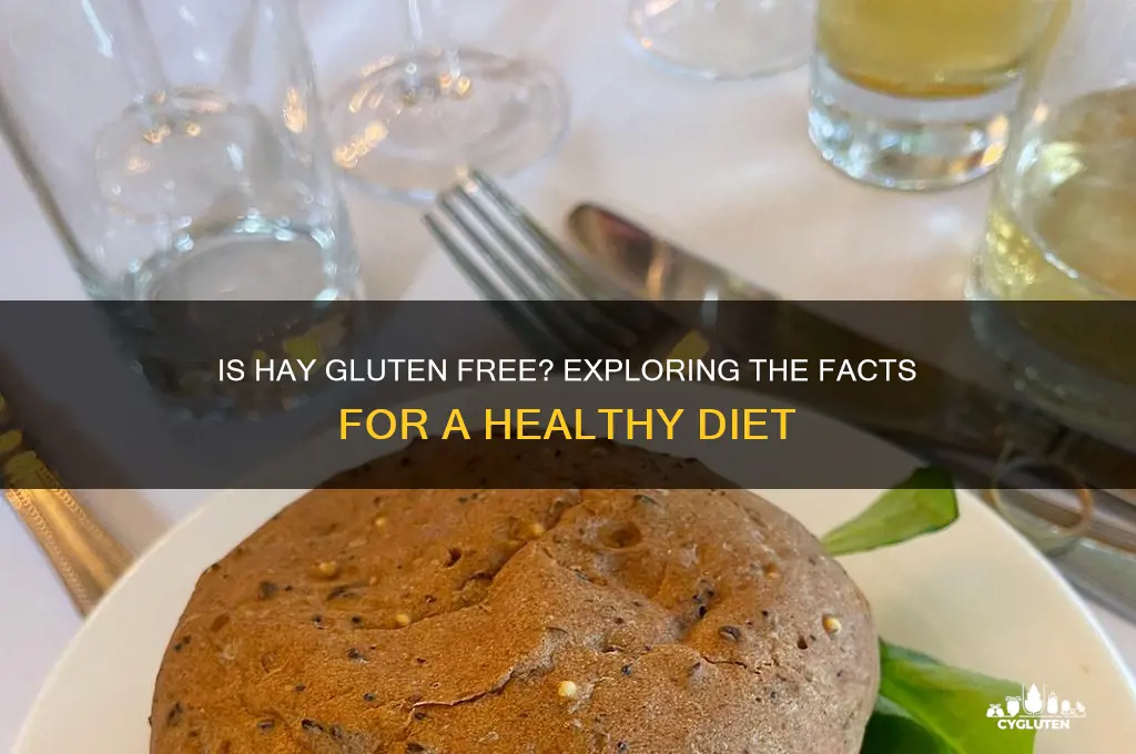 is hay gluten free