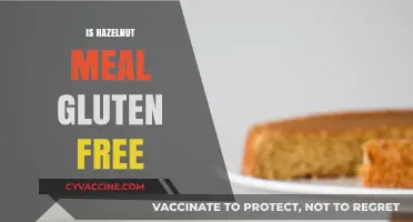 Is Hazelnut Meal Gluten-Free? A Nutty Dietary Guide