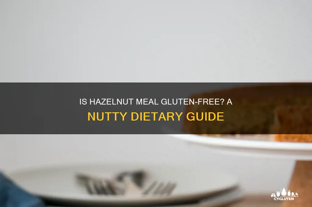 is hazelnut meal gluten free