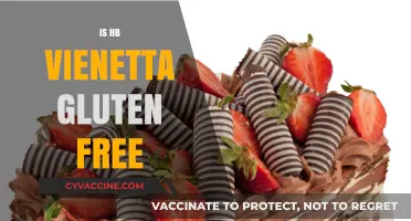Is HB Vienetta Gluten-Free? A Detailed Look at Ingredients
