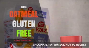 Is H-E-B Oatmeal Gluten-Free? A Complete Guide for Shoppers
