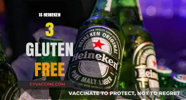 Is Heineken 3 Gluten-Free? A Detailed Look at the Beer