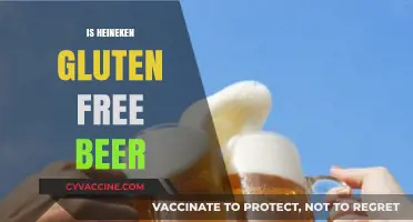 Is Heineken Gluten-Free? Exploring Beer Options for Celiac Drinkers
