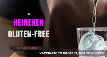 Is Heineken Gluten-Free? Uncovering the Truth About This Popular Beer