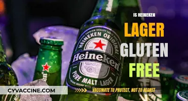 Is Heineken Lager Gluten-Free? A Comprehensive Guide for Beer Lovers