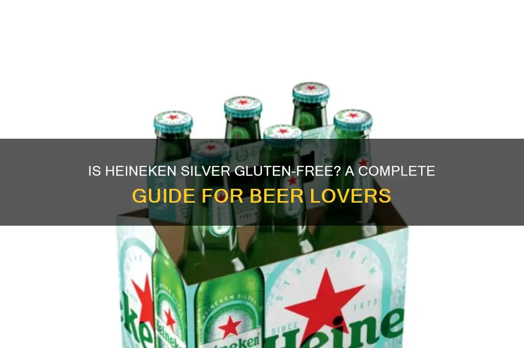 is heineken silver gluten free