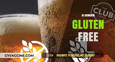 Is Heineken Gluten-Free? Exploring Beer Options for Celiac Diets