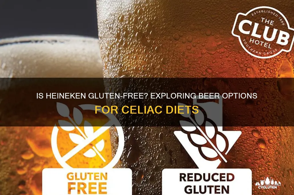 is heinekin gluten free