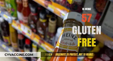 Is Heinz 57 Gluten-Free? A Complete Guide for Celiac Diets
