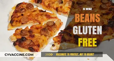 Are Heinz Beans Gluten-Free? A Complete Guide for Celiac Sufferers